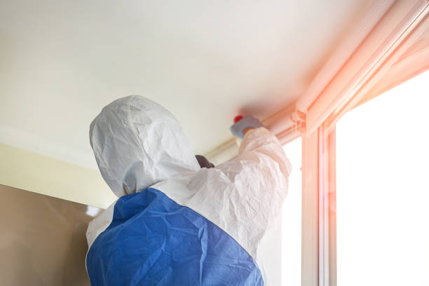 Best Mold Removal for HVAC Installations  in Rochester, IL